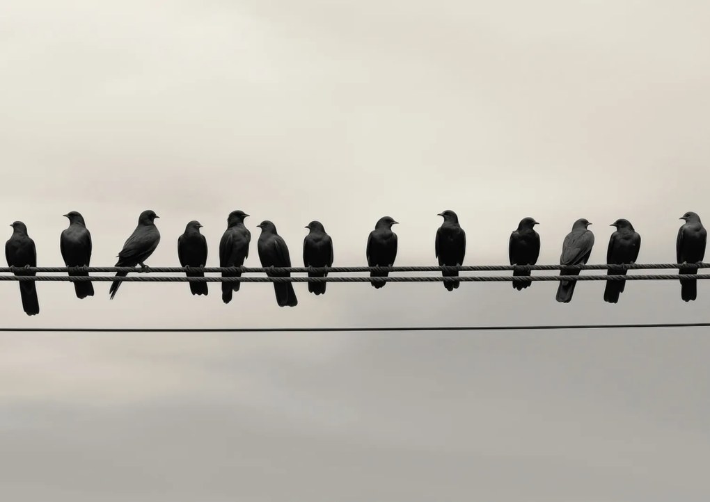 Poszter 59,4x42cm Konferencia a Magasságban