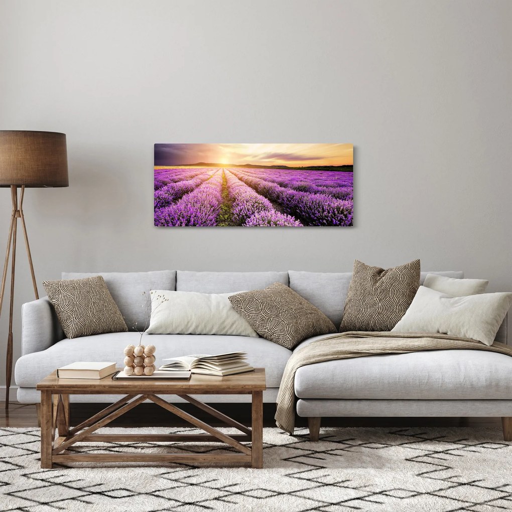 Kép - Napfelkelte levendulamezőn (120x50 cm)