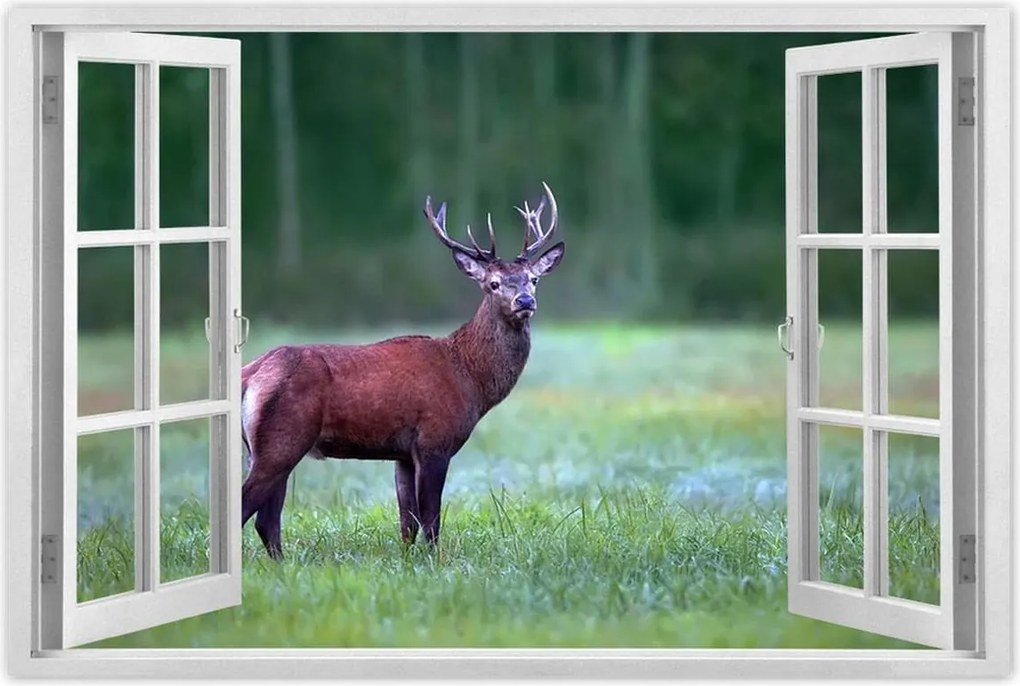 Poszterek 60x40 Szarvas Erdő Tájkép