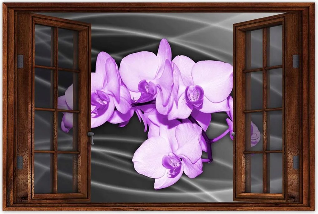 Poszter 60x40 Szép orchidea virág