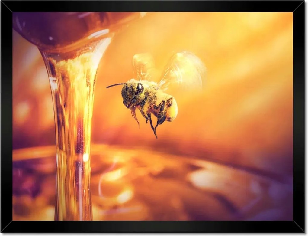 Poszterek keretben 40x30 Csöpögő méz befőttesüvegből