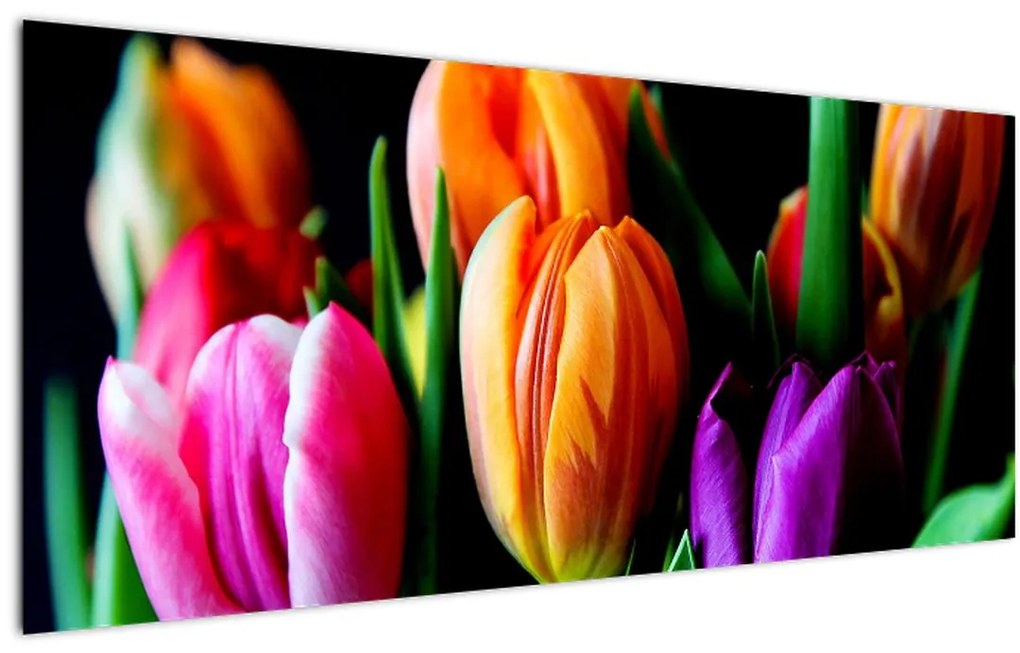 Tulipánok képe fekete alapon (120x50 cm)