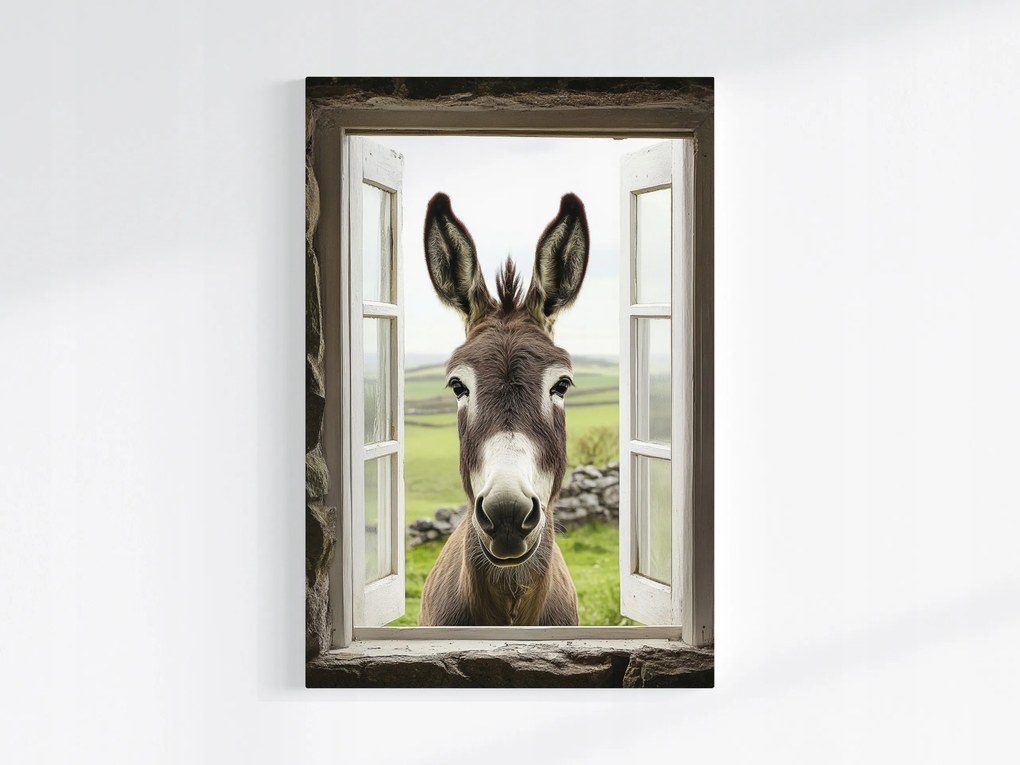 Vászonkép Canvas Kíváncsi Szamár Ablak Kilátás Állat Vendég Fal 80x120