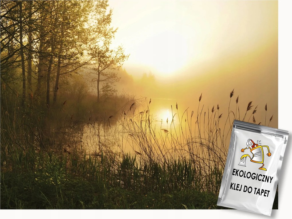 Fotótapéta Flizelina Tájkép Természet Reggel Hajnal Nap Tó 100x75 ragasztó