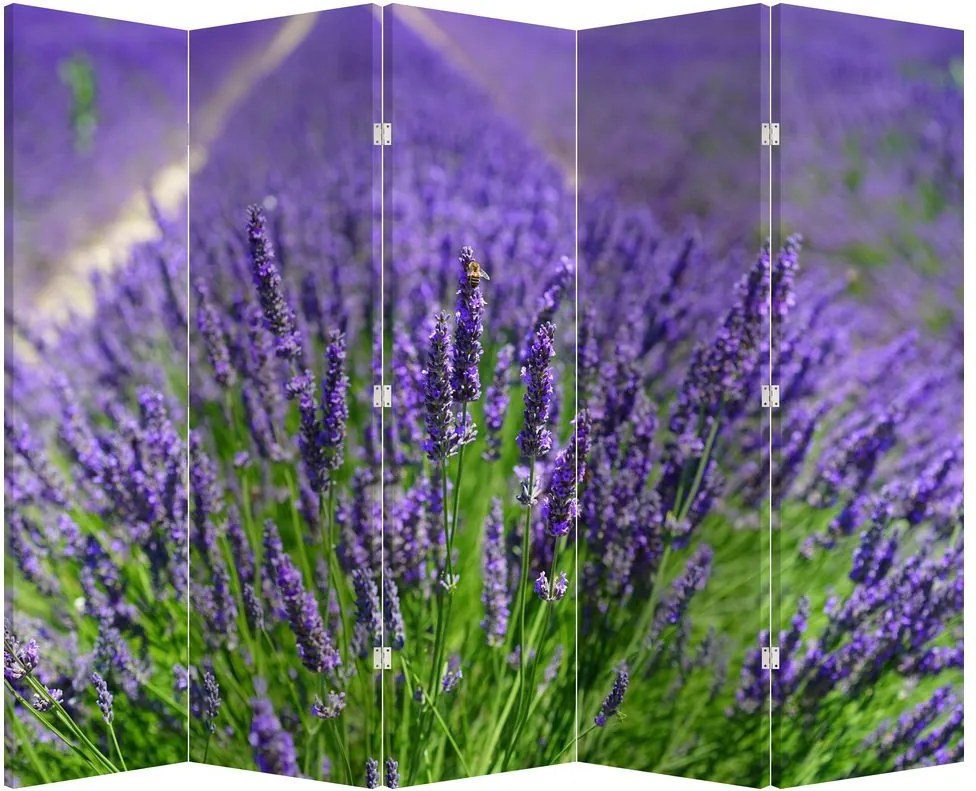 Paraván - Levandula (210x170 cm)
