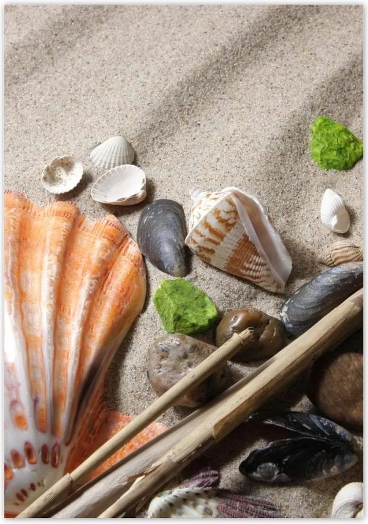 Poszterek 70x100 A balti tengerparton