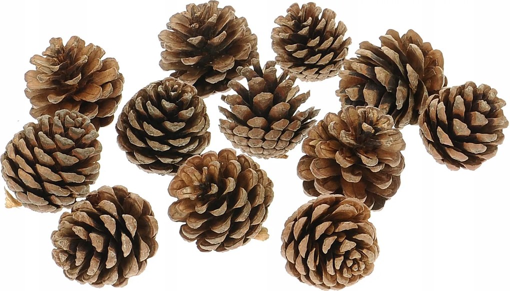 Fenyőtoboz 12 db-os natúr karácsonyi dekoráció és kézműves termékek