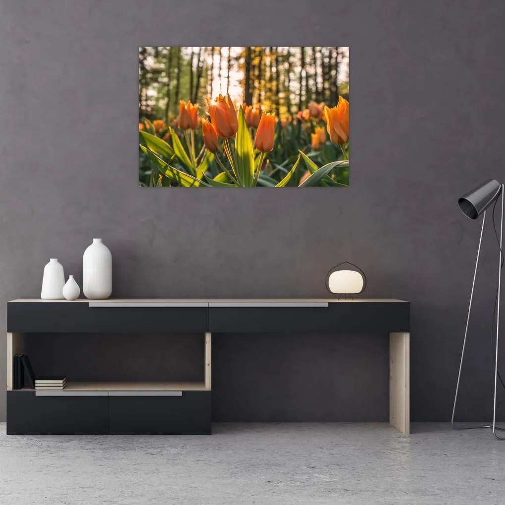 Narancssárga tulipán képe (90x60 cm)