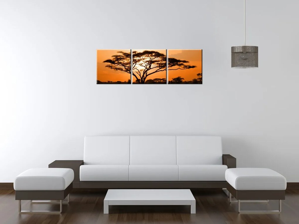 Gario Vászonkép Gyönyöru afrikai táj - 3 részes Méret: 90 x 30 cm