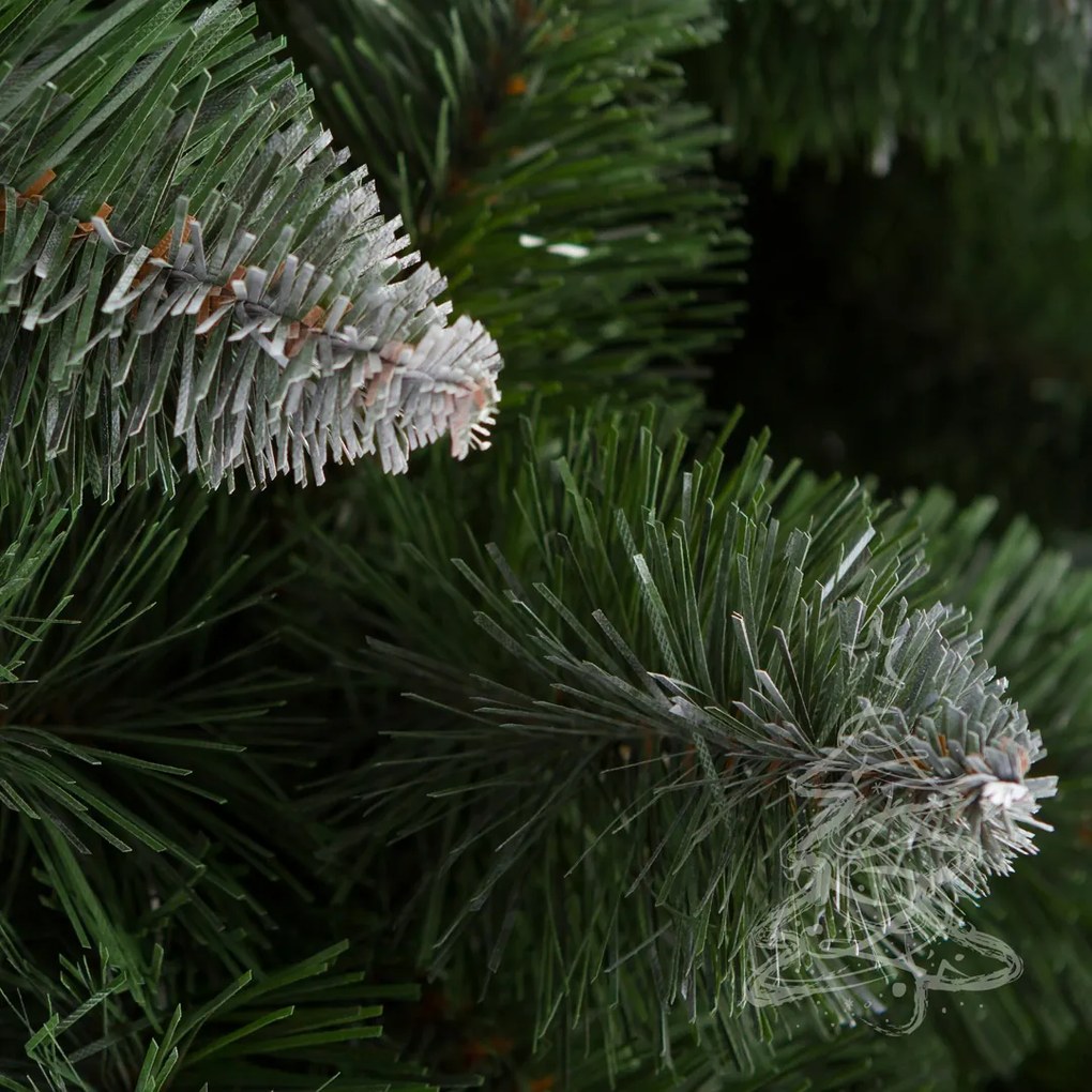 Karácsonyfa Fehér végű erdei fenyő 2D 250 cm