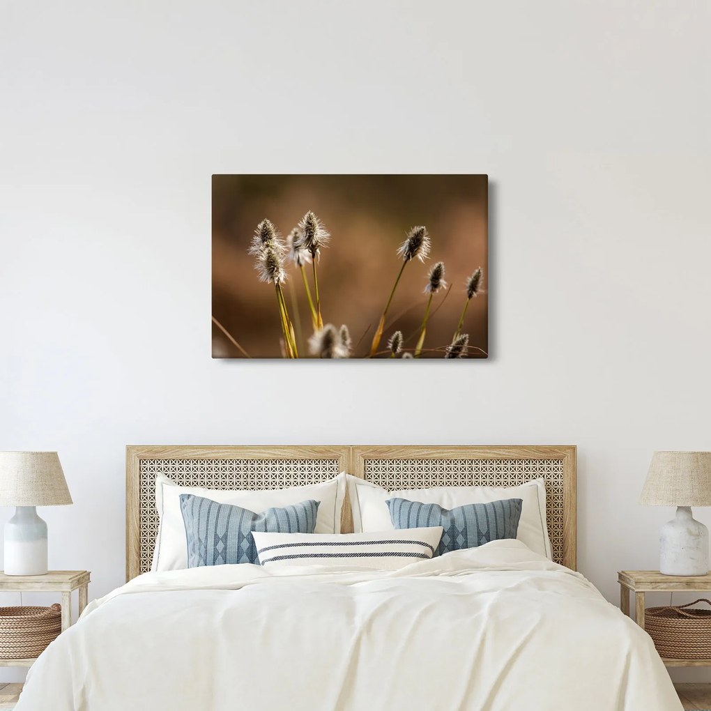 Kép - Fű (90x60 cm)