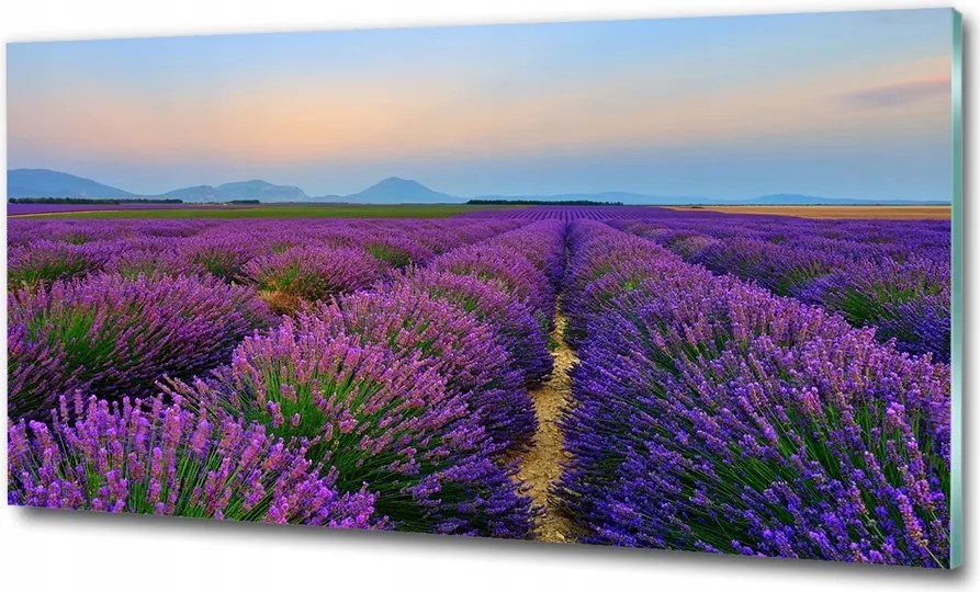 Fotó üvegkép Sólyomkő 125x50