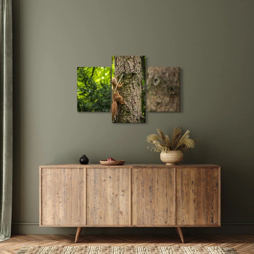 Kép - Mókus (90x60 cm)