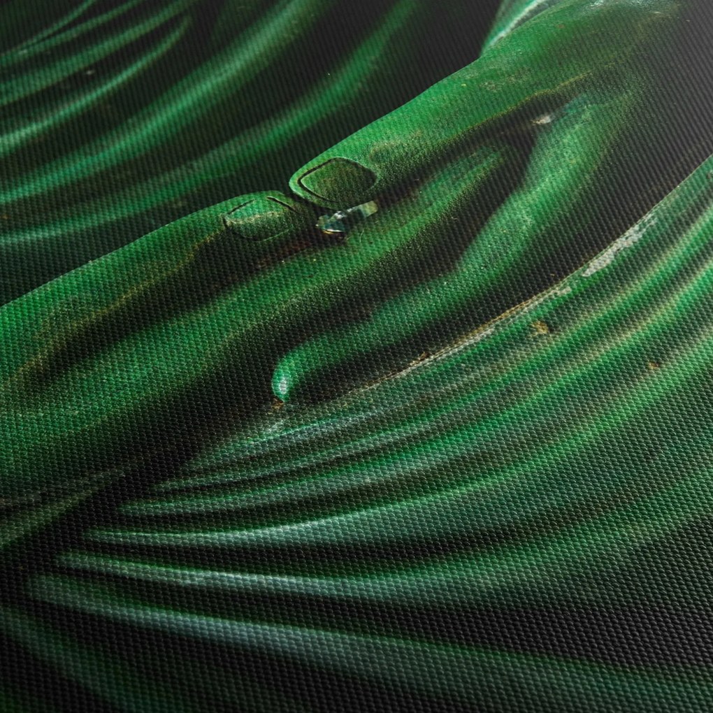 Kép - Buddha keze (120x50 cm)