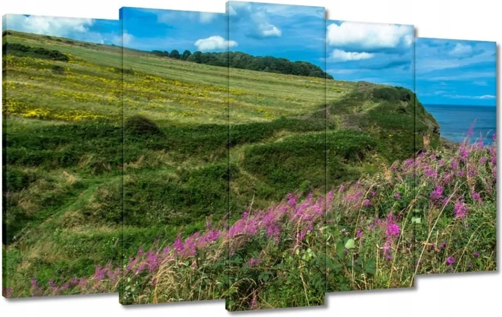 Vászonkép 100x60 Virágos rét a tengerparton