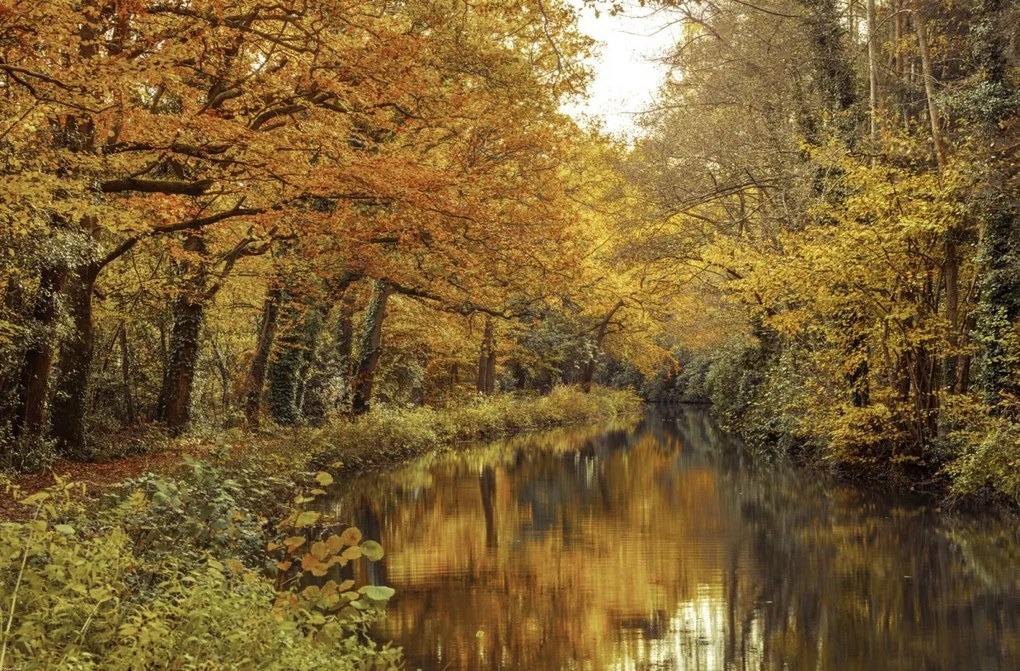 Poszter 86,4x56,8cm Csatorna az erdőn át 2, Assaf Frank