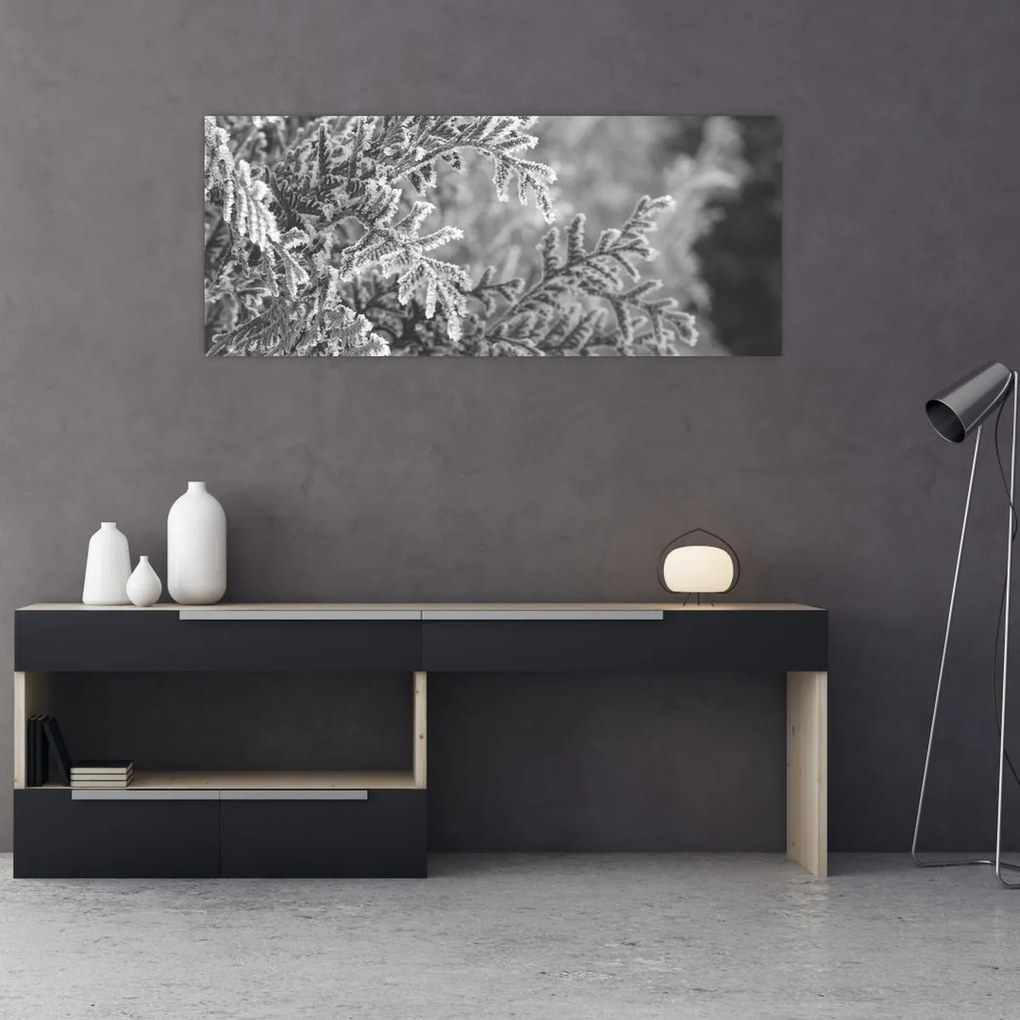 Kép - Lucfenyő erdő (120x50 cm)