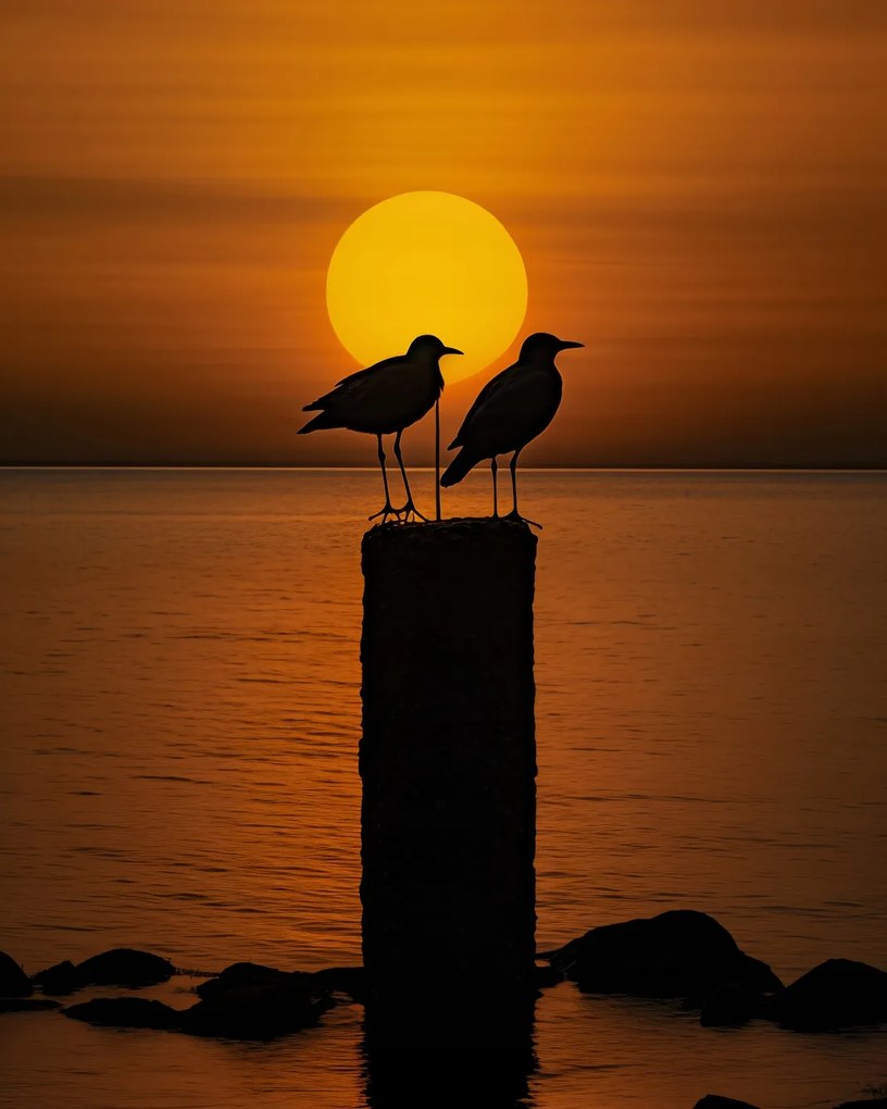 Poszter 40x50cm Beszélgetések alkonyatkor