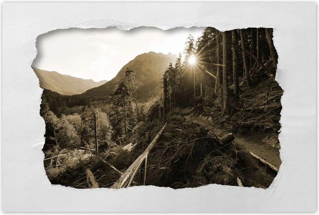 Poszterek 60x40 Szépia tájkép Szépia