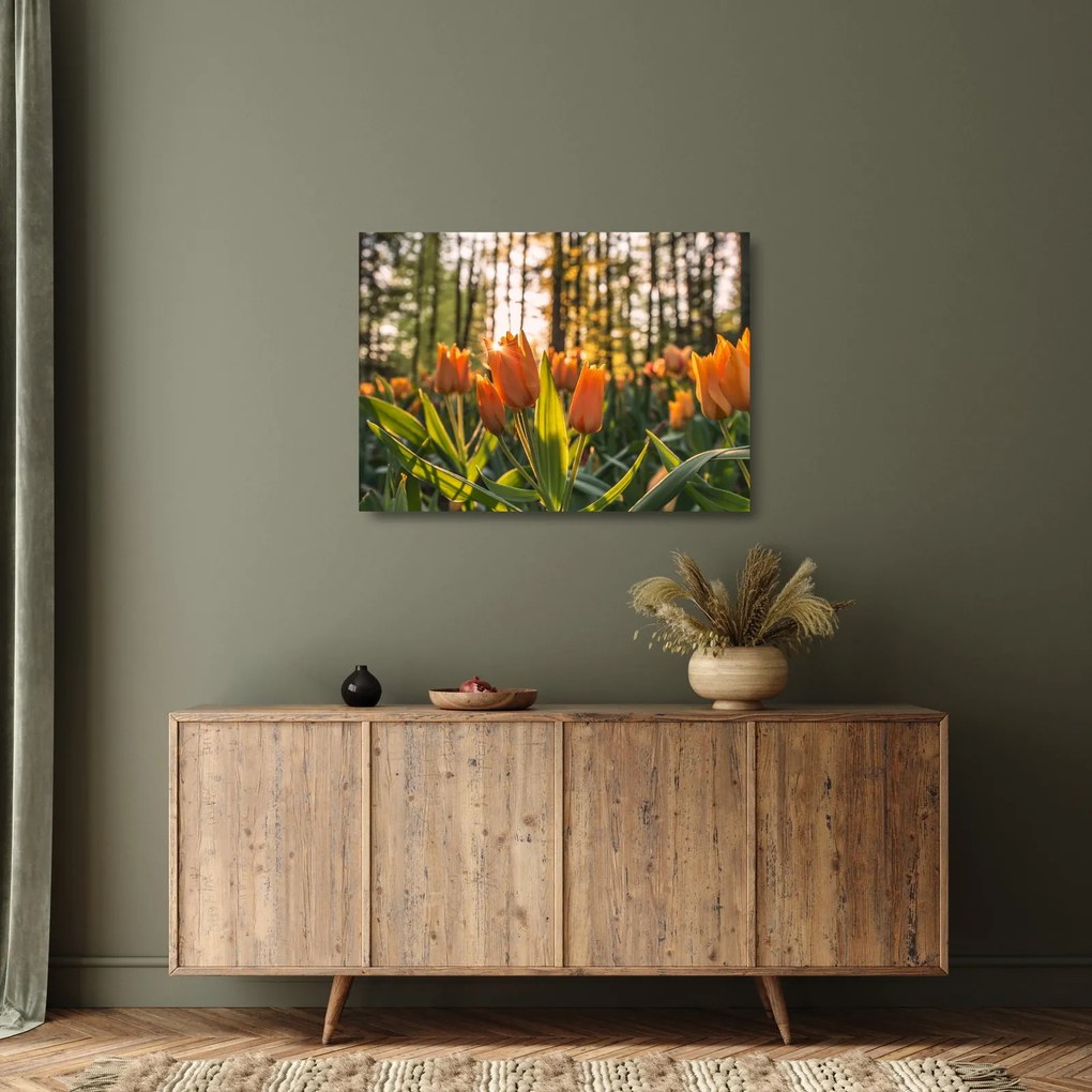 Kép - tulipánok (üvegen) (70x50 cm)