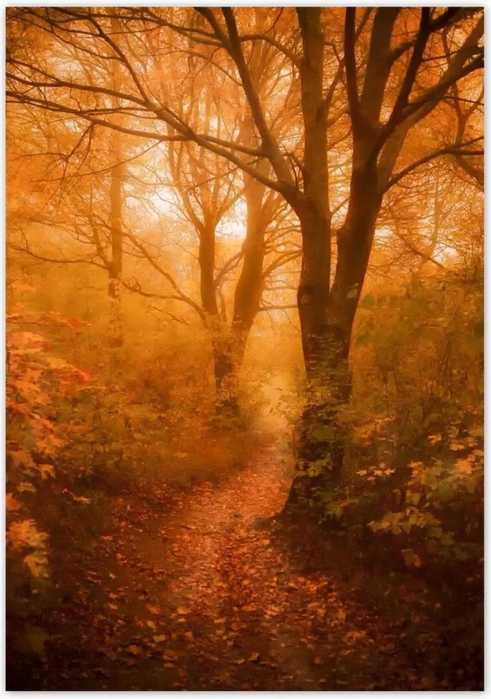 Poszterek 70x100 Tájkép Látvány