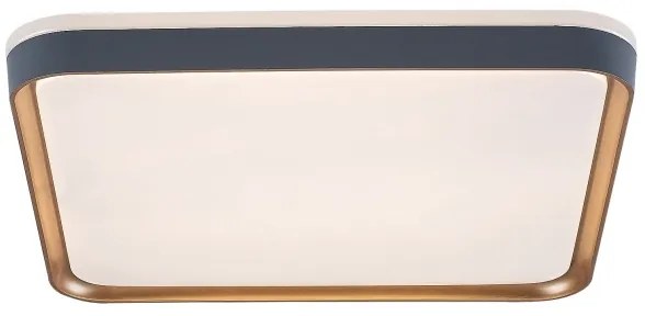 Rabalux 71029 - LED mennyezeti lámpa LIATRIS LED/26W/230V 3000K