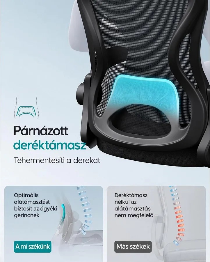 Ergonomikus irodai szék hálós háttámlával, deréktámasszal és felhajtható kartámasszal, fekete