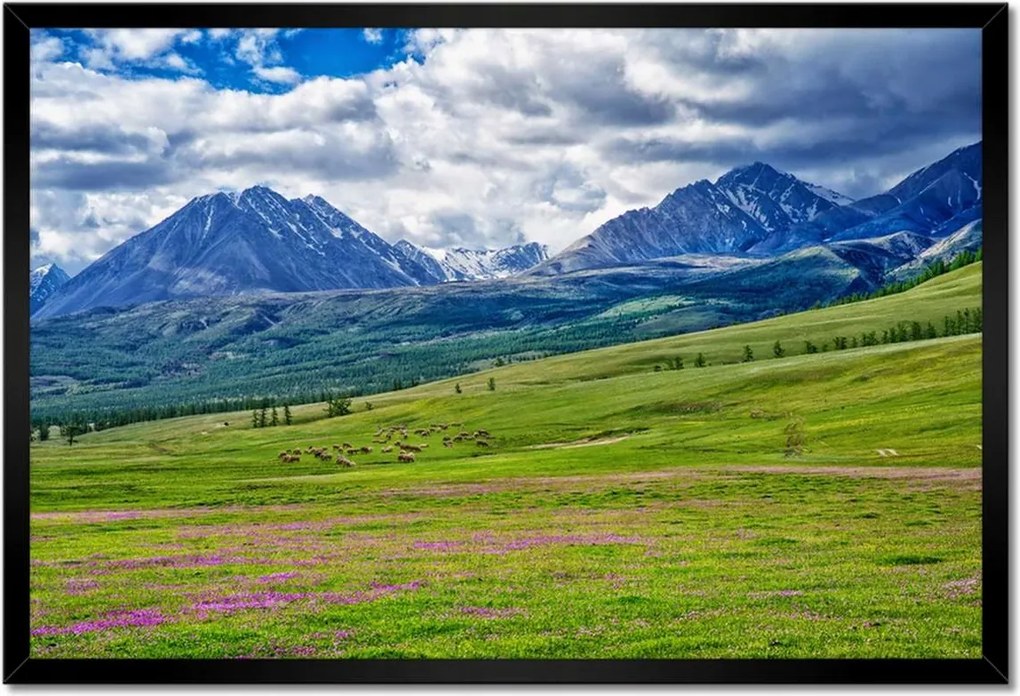 Poszterek keretben 60x40 Juh legeltetés Bárányok