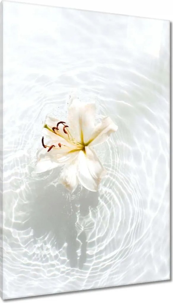 Vászonkép 80x120 Kwiatek a vízen Név