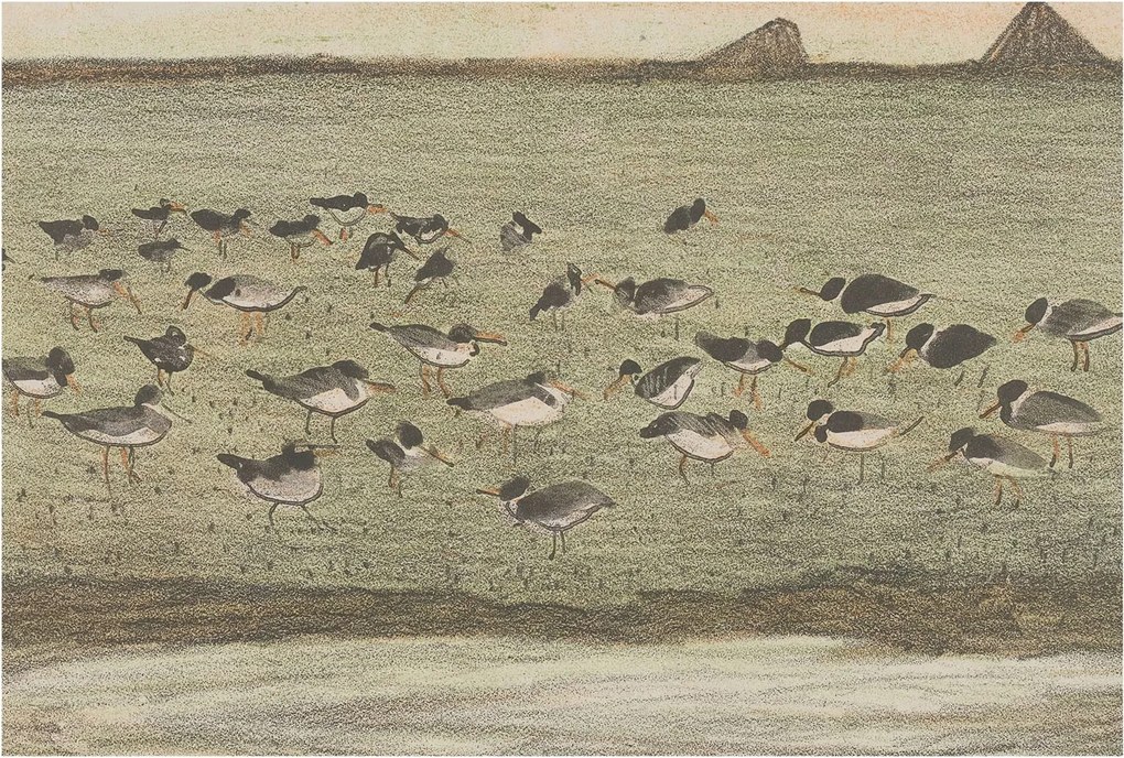 Flizelin fotótapéta Flizelin Design Madár nyugalom 104x70 Ragasztó