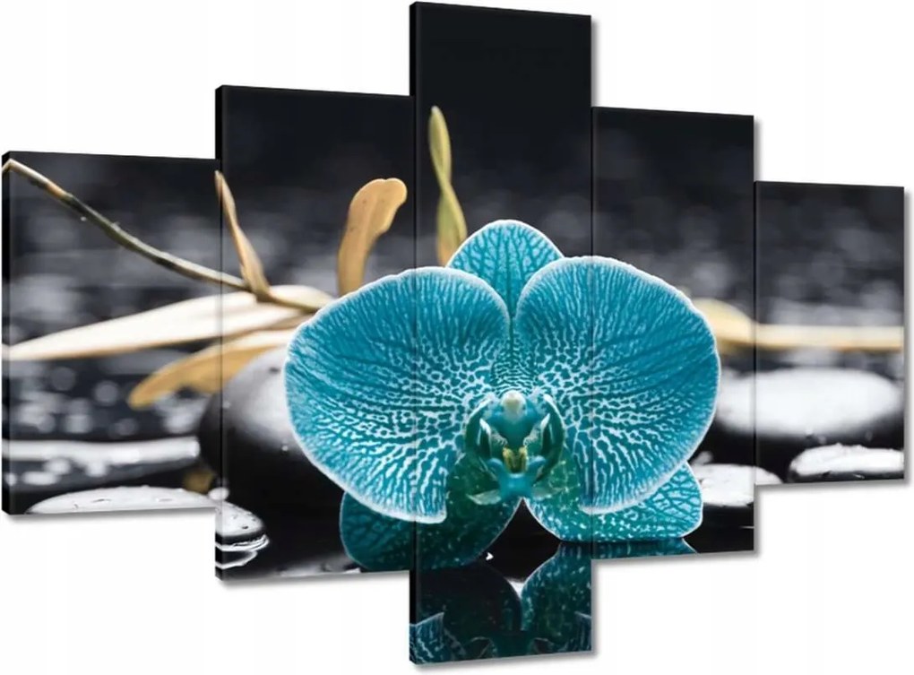 Vászonkép 100x70 Türkiz orchidea Virág