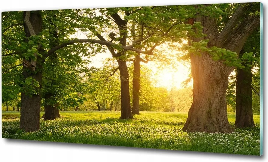 Fotó üvegkép Maldív-szigetek bungaló 125x50