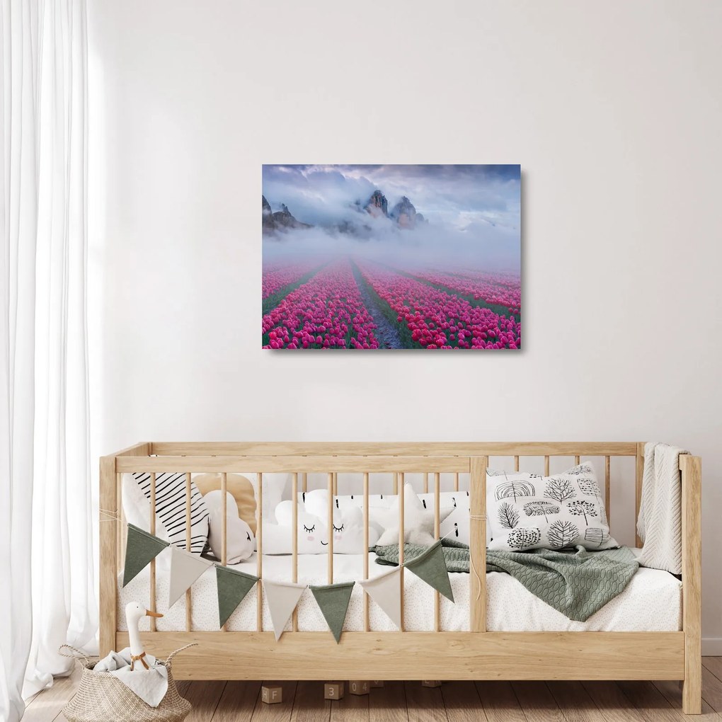 Üveg kép - Tájkép tulipánmezőkkel (70x50 cm)
