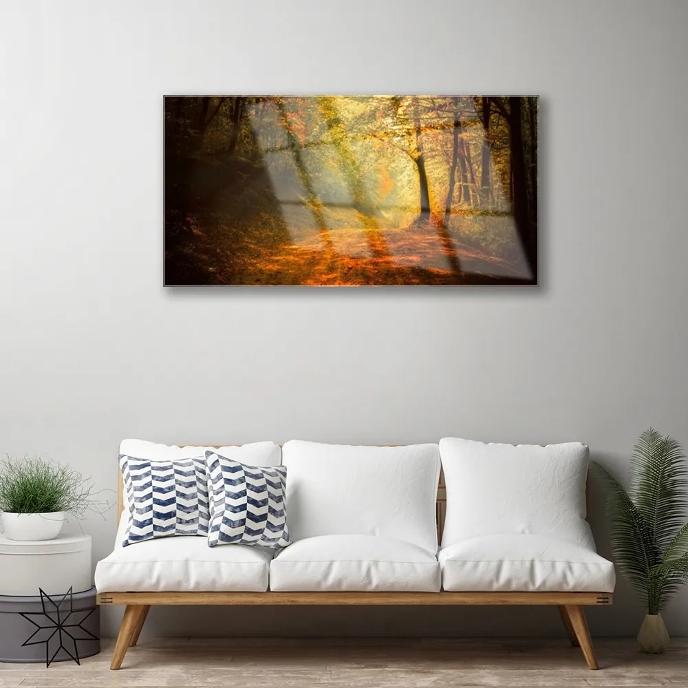 Üvegkép Forest Lane fák természet 125x50 cm