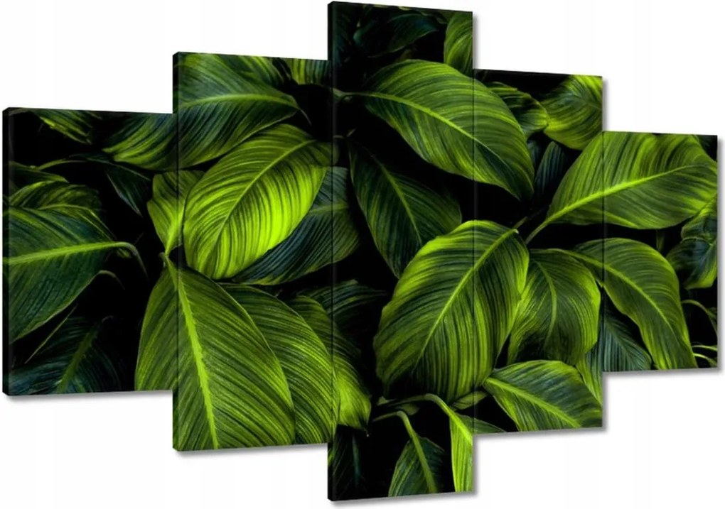 Vászonkép 120x80 Gyönyörű zöld levelek