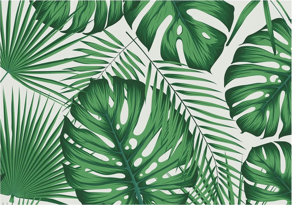 Divatos Flizelin Tapéta Fali Furnér Trópusi levelek 312x219 Ragasztó