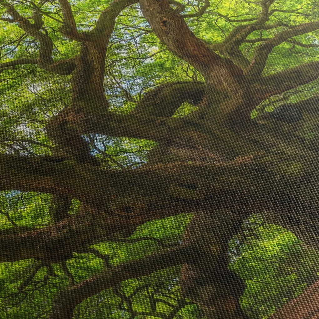 Kép - Zöld fa (120x50 cm)