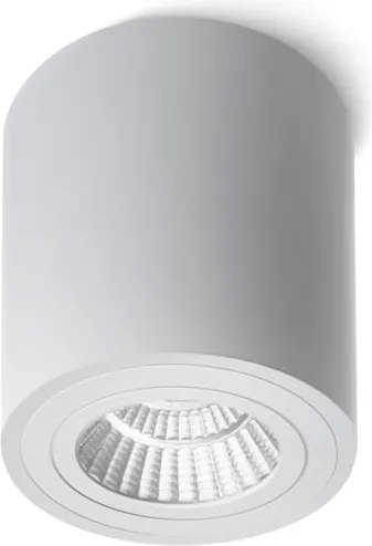 RENDL MAYO R mennyezeti billenthető fehér 230V LED 9W 36° 2700K