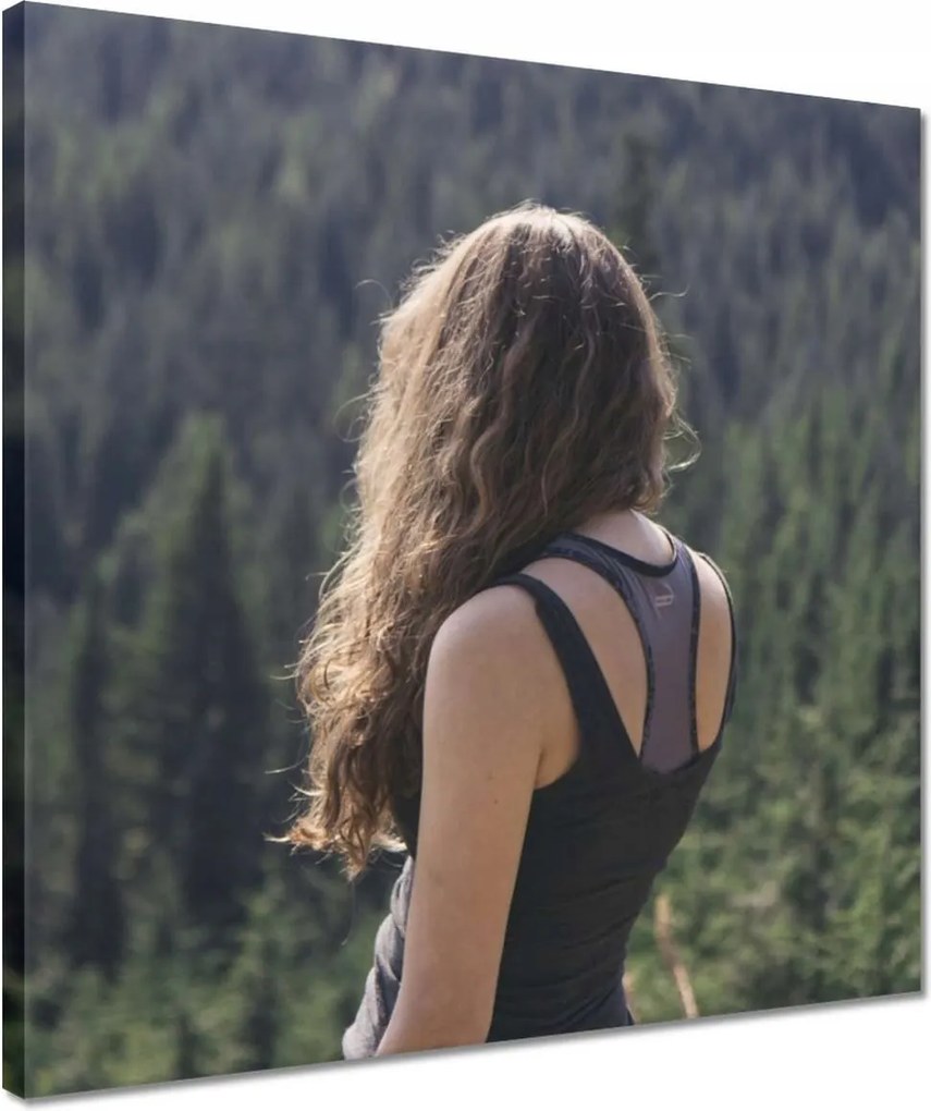 Vászonkép 40x40 Pillantás a hegyekre