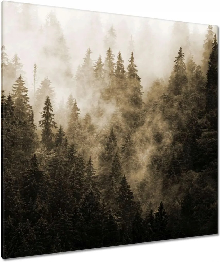 Vászonkép 90x90 Tájkép Szépia Hegyek Köd