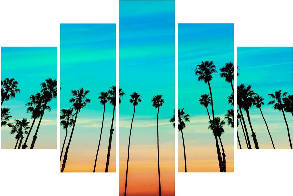 Kép - Kalifornia (150x105 cm)