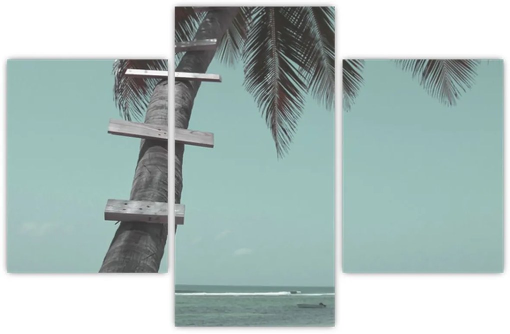 Kép - Palma a Karib-tengeren (90x60 cm)