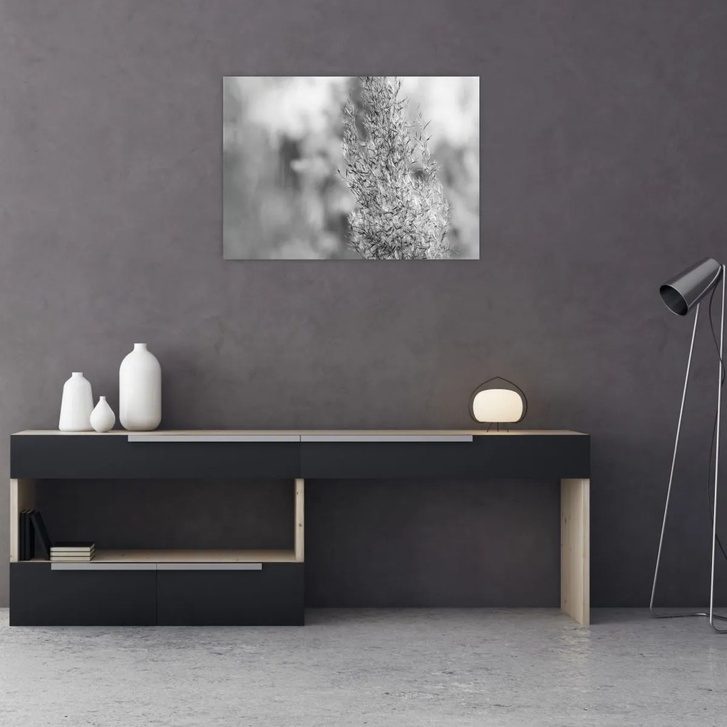 Kép - Boho pampafű (70x50 cm)