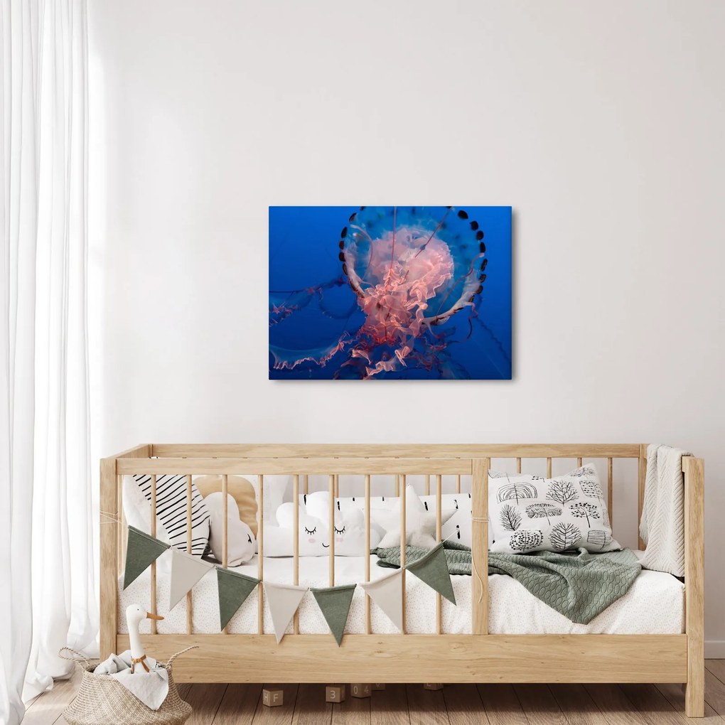 Medúza képe (70x50 cm)