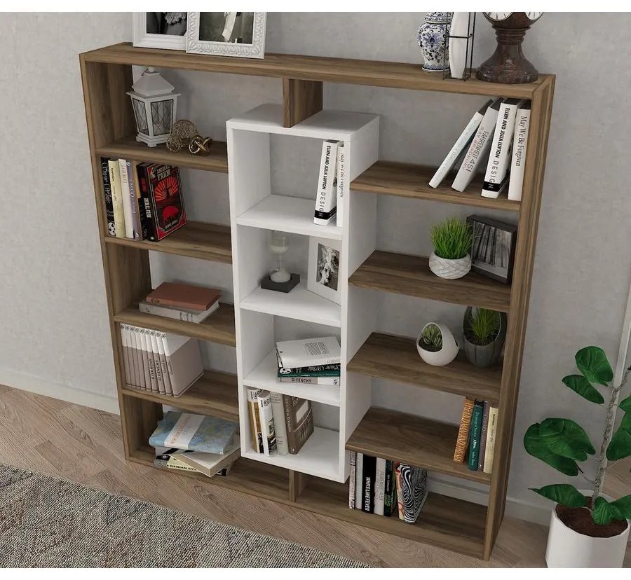 könyvespolc Ample - Walnut, White