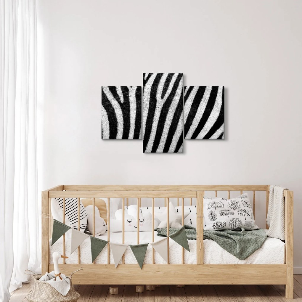 Kép egy zebra bőrről (90x60 cm)