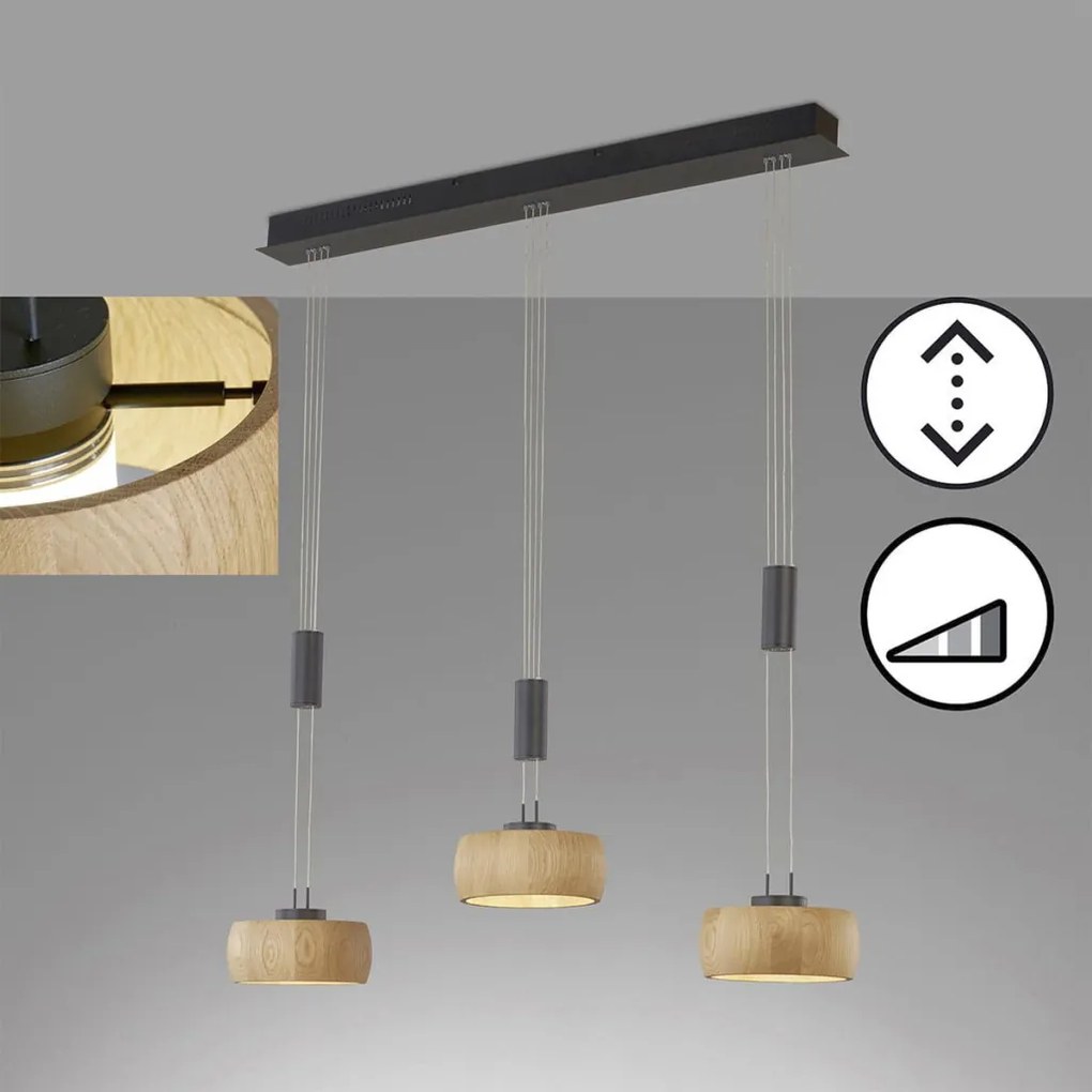 Fischer&Honsel SHINE-WOOD 61093 Lepel lámpa 3x9W/LED 2700K 2900 lm IP20