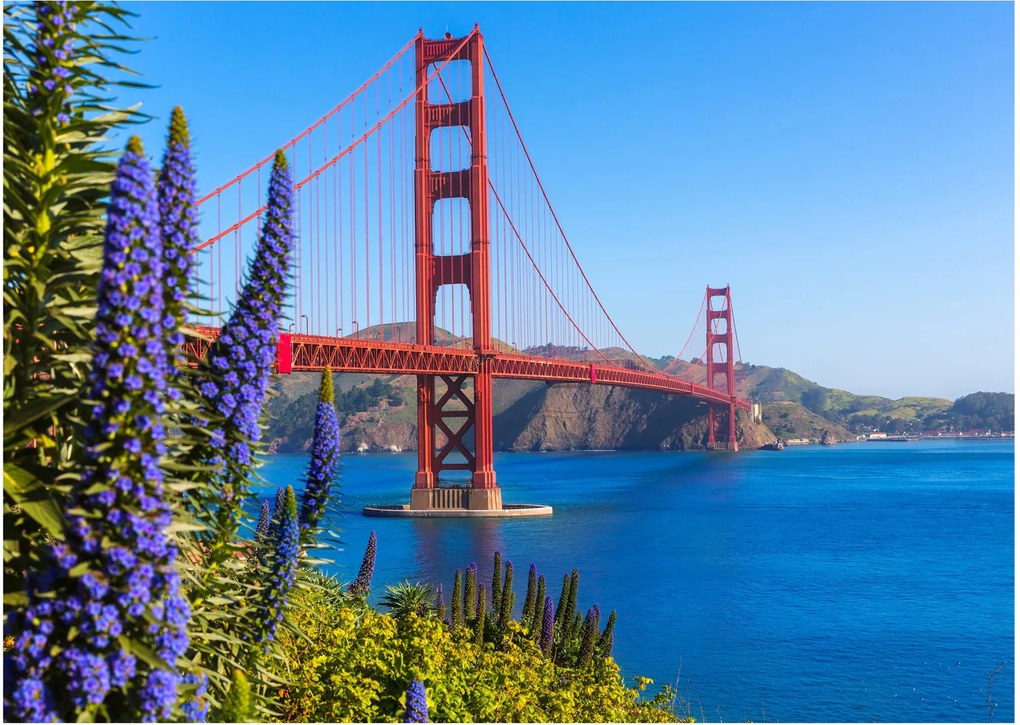 Kép - Golden Gate híd, San Francisco (70x50 cm)