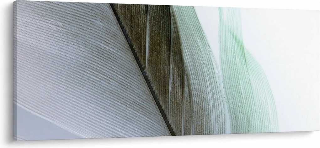 Kép - Tollak, makro (120x50 cm)