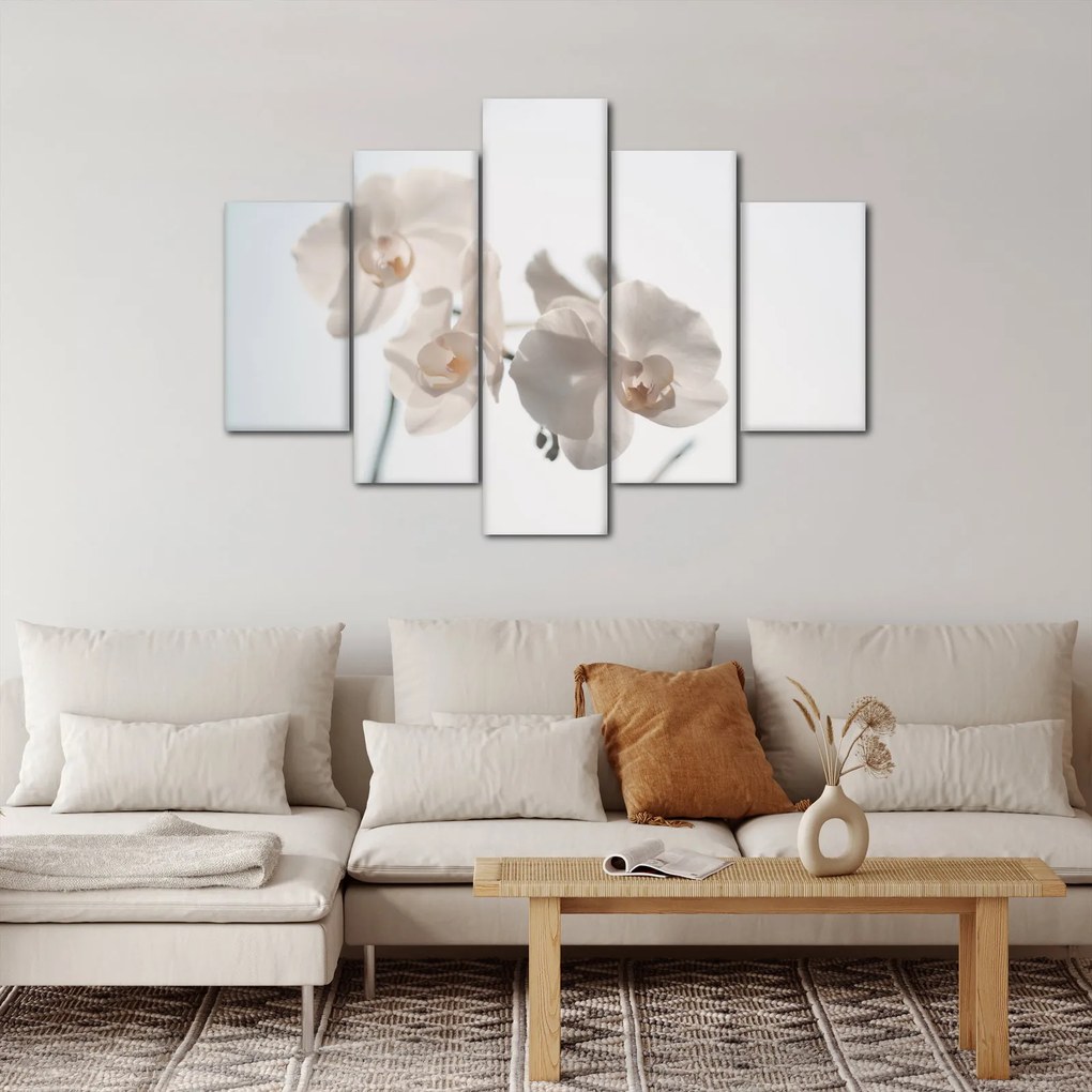 Fehér orchidea képe (150x105 cm)